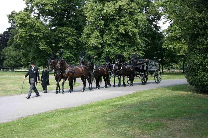 A horse-drawn hearse pulled by six black horses, led on foot through parkland by funeral directors in top hats
